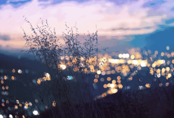 輕鋼別墅: 遠(yuǎn)離城市喧囂,獨(dú)享一方寧?kù)o(圖1) 輕鋼別墅風(fēng)景