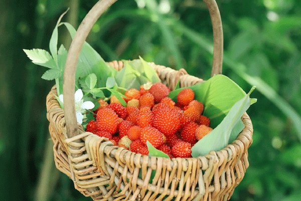 我能想到最浪漫的事情,就是和你回歸田園生活,一起變老!(圖9) 睿婕輕鋼別墅