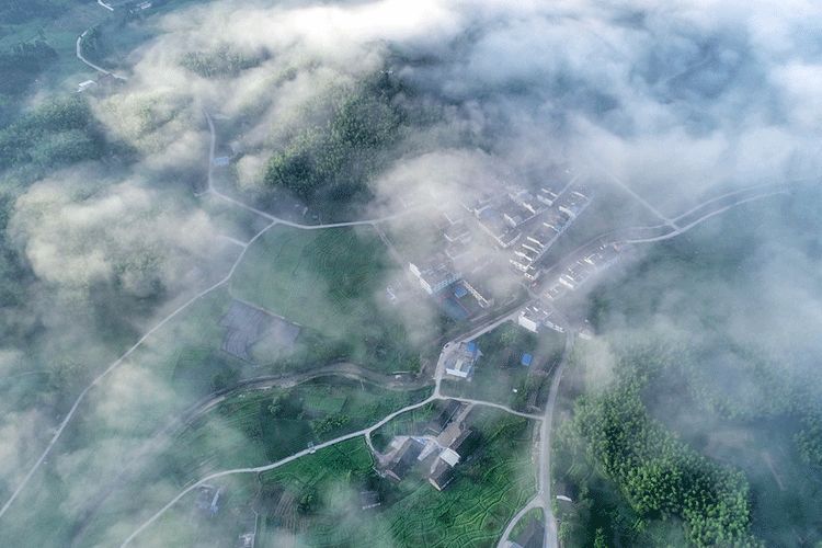 我能想到最浪漫的事情,就是和你回歸田園生活,一起變老!(圖10) 睿婕輕鋼別墅