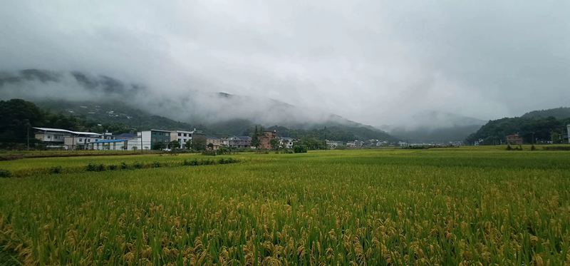 我能想到最浪漫的事情,就是和你回歸田園生活,一起變老!(圖12) 睿婕輕鋼別墅