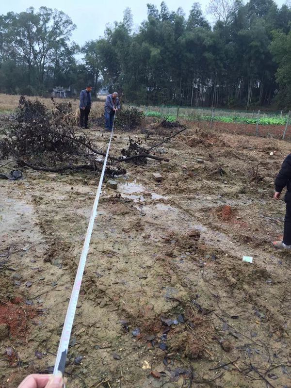 輕鋼別墅不牢固?一打就爛?來看看輕鋼的正規施工過程就知道了(圖5) 睿婕輕鋼別墅