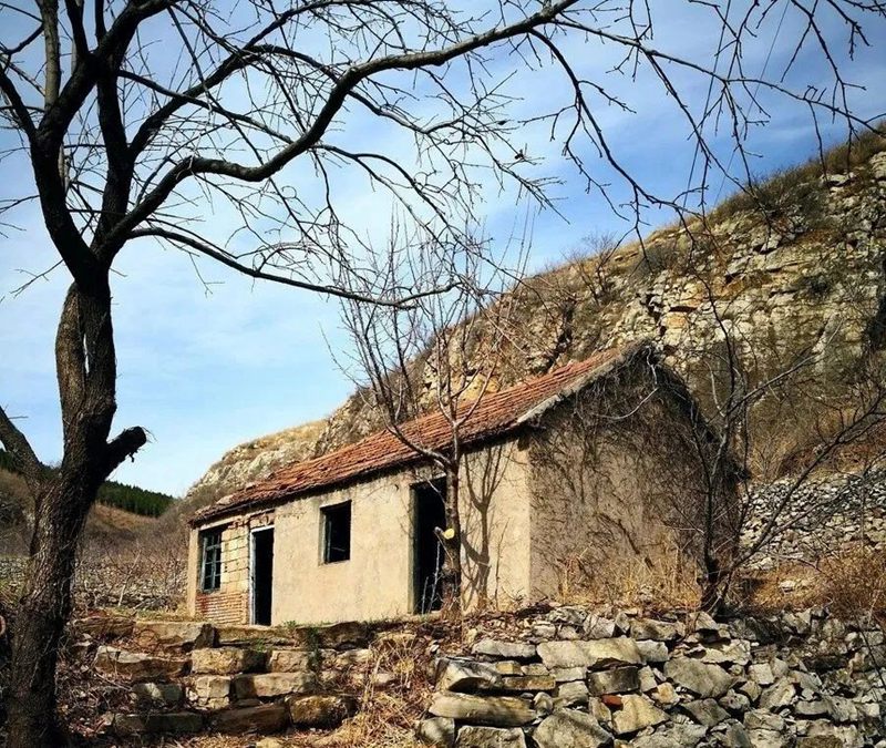 新聞報道 |住上輕鋼科技房的村民,來聽5年后他們的真實感受!(圖3) 睿婕輕鋼別墅