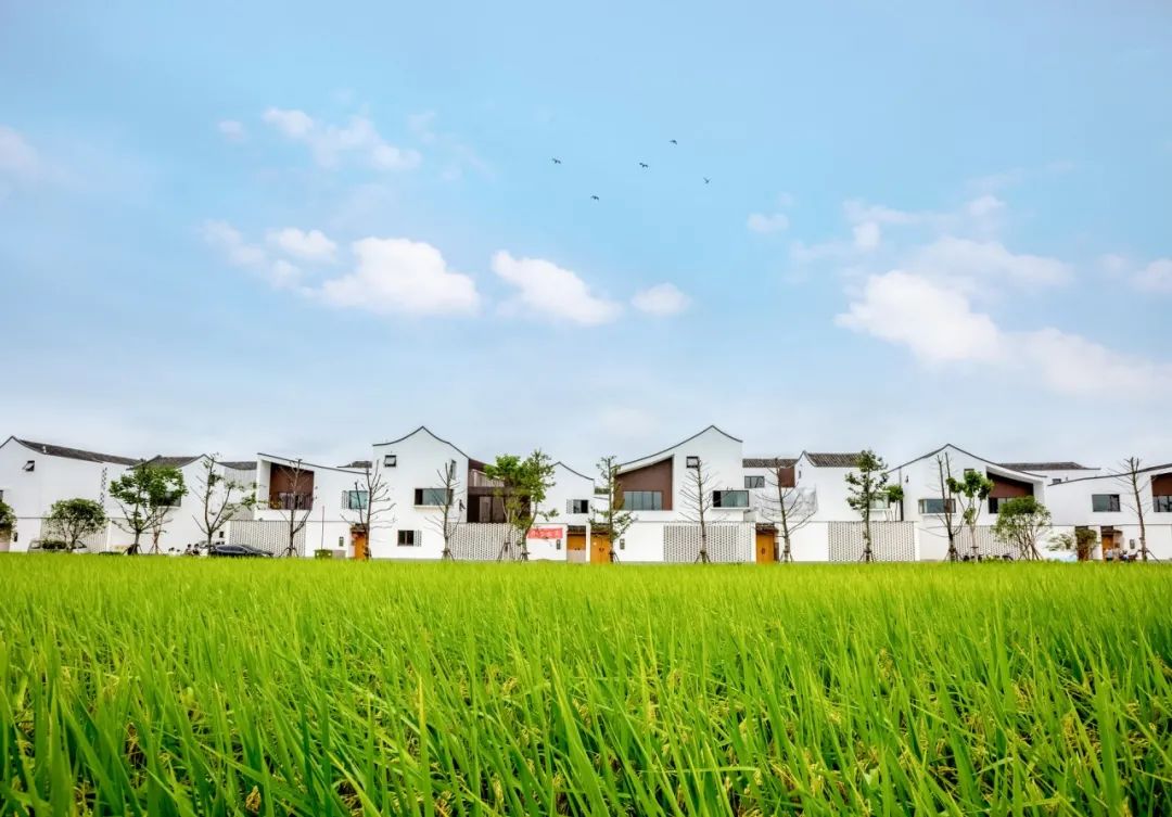 住建廳給你揭曉 裝配式農(nóng)房有哪些有點(diǎn)?(圖1) 睿婕輕鋼別墅