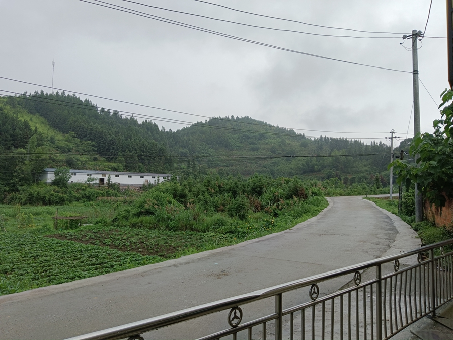 回歸自然，遠離塵囂：暢享寧靜農村生活